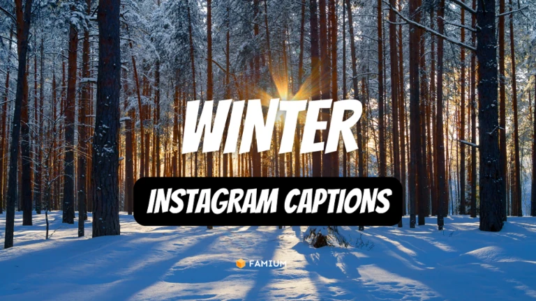 Winter Instagram Caption Ideas